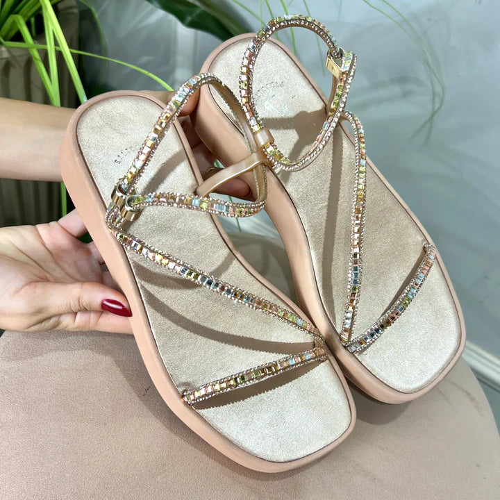 Papete Saltonela Champagne