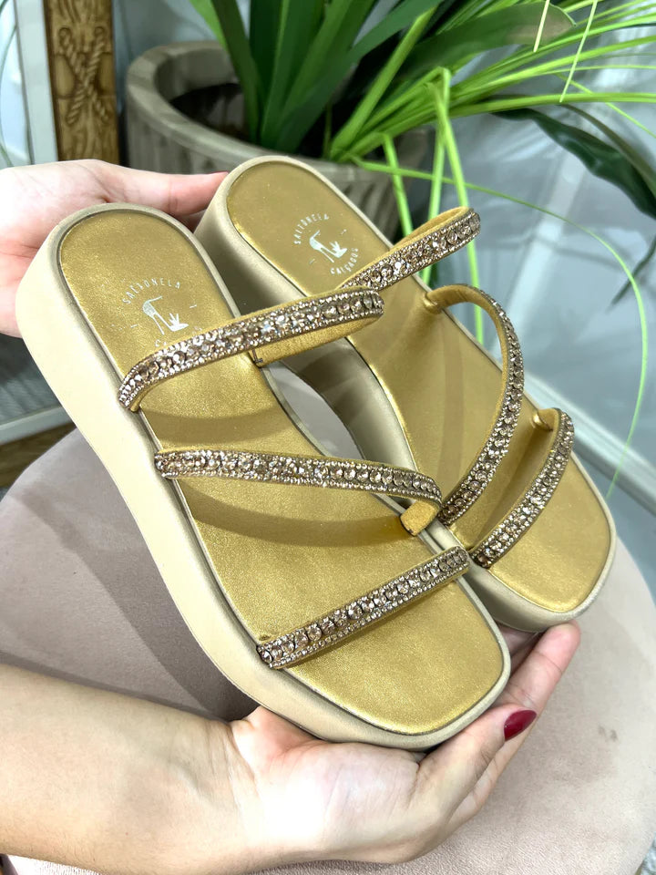 Papete Saltonela Ouro